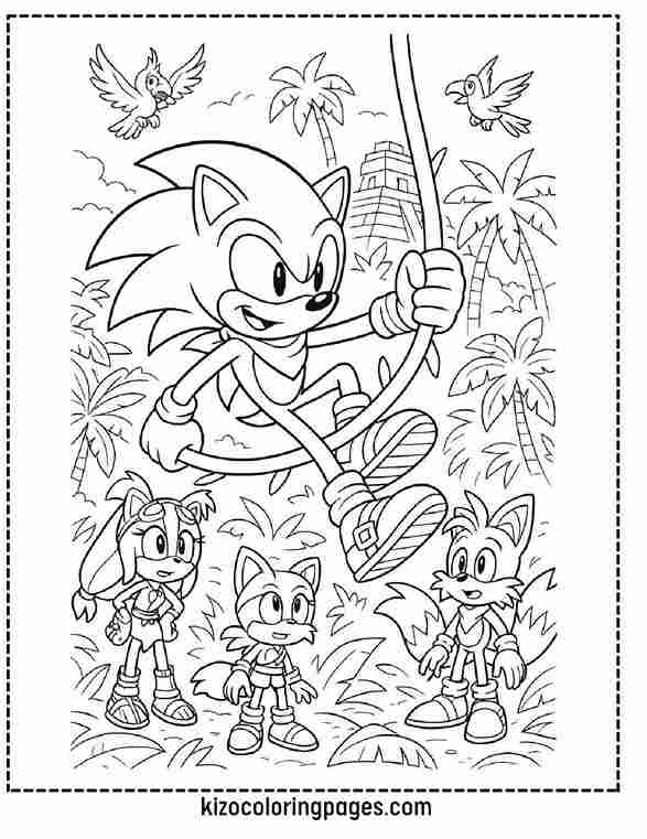 Boom Sonic Jungle Adventure