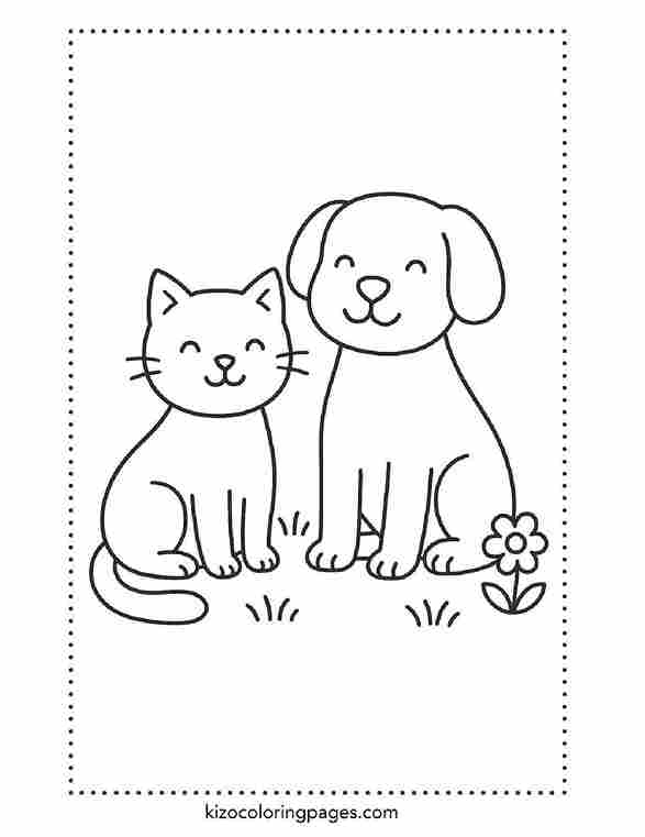 Cat and Dog