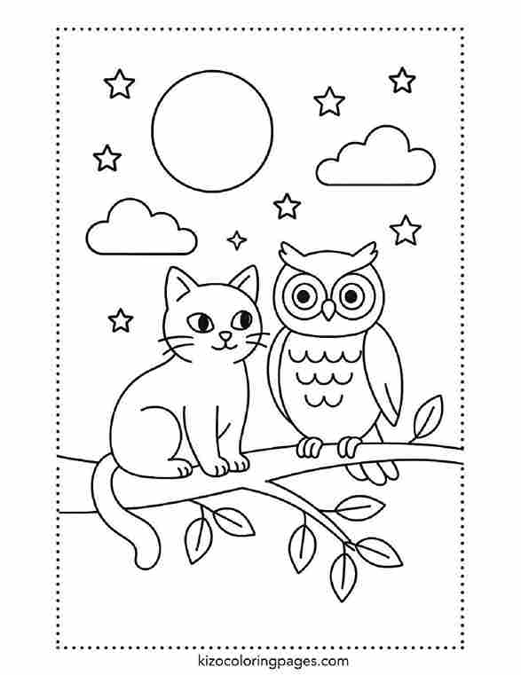 :Cat and Owl