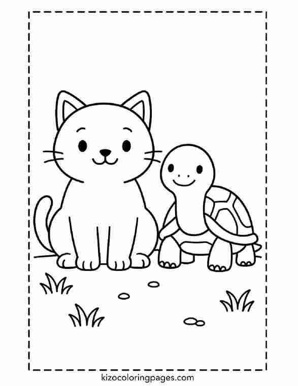 Cat and Turtle