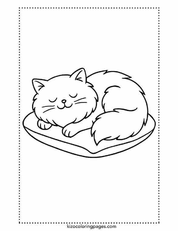Fluffy Persian Cat Sleeping on Pillow