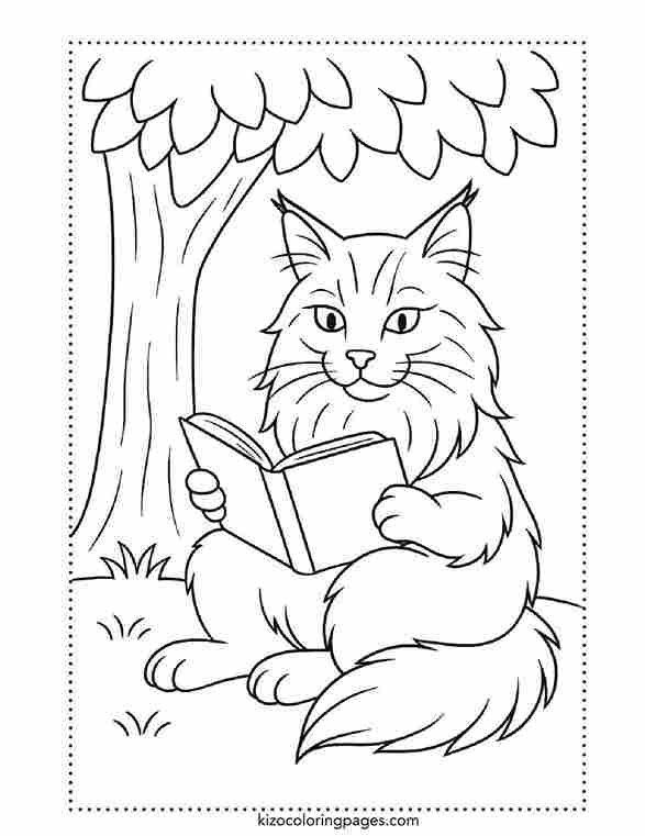 Maine Coon Cat Reading Book