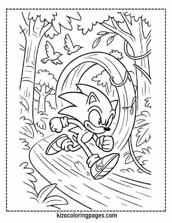 Sonic Jungle Loop Adventure