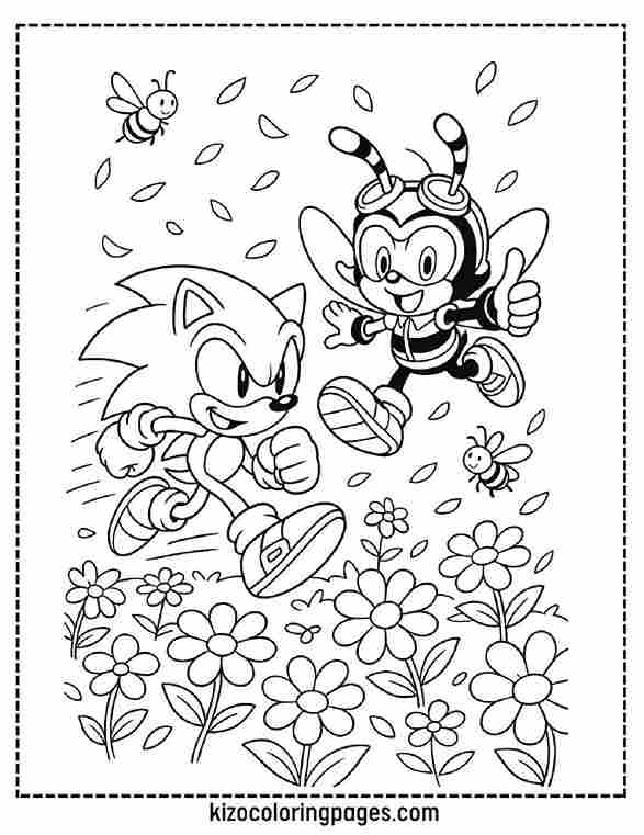 Sonic and Charmy Buzz Through Flower Field