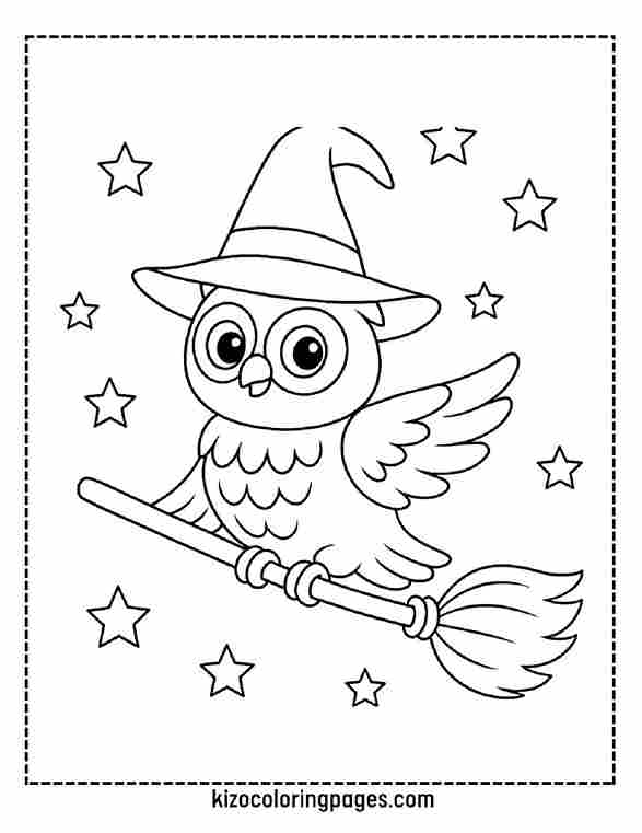 Owl on a Broomstick