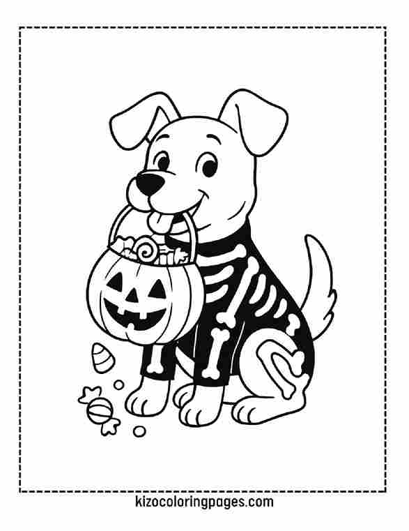 Skeleton Costume Dog Halloween